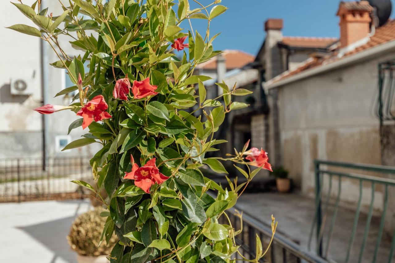 Boka Apartment 6 Herceg Novi Dış mekan fotoğraf